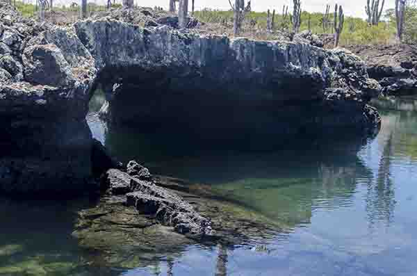 57 - Ecuador - islas Galapagos - isla Isabela - los Tuneles
